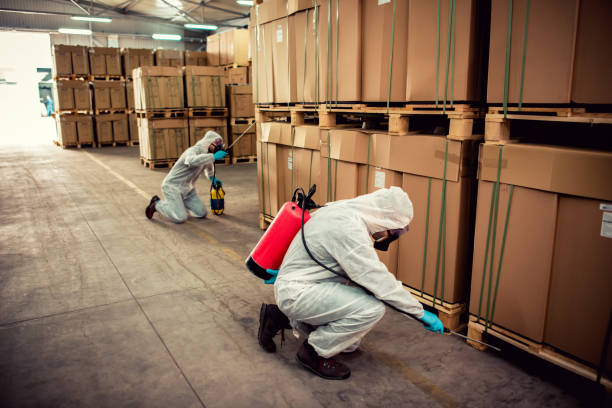 Best Mosquito Control Services  in Andrews, TX