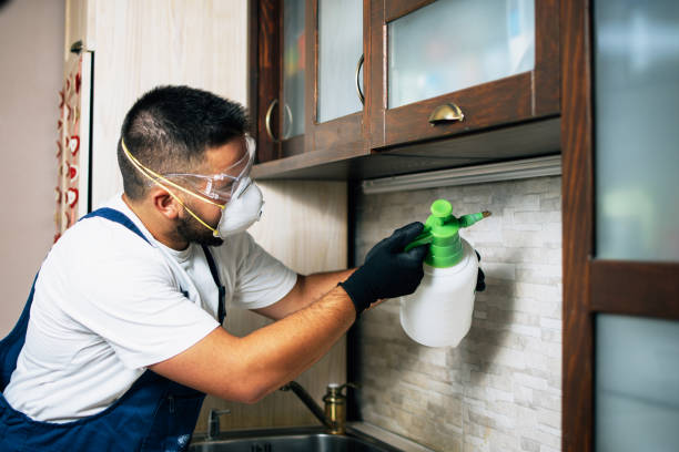 Best Bed Bug Extermination  in Andrews, TX