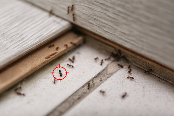 Wildlife Control Services in Andrews, TX