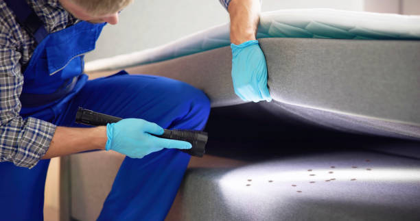 Best Cockroach Control Services  in Andrews, TX