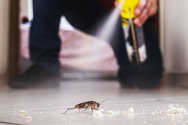 Best Wildlife Control Services  in Andrews, TX