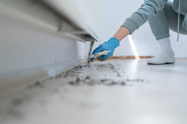 Best Cockroach Control Services  in Andrews, TX