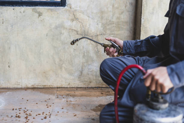 Best Pest Control Cost  in Andrews, TX