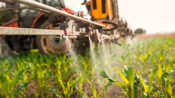 Pest Control Cost in Andrews, TX